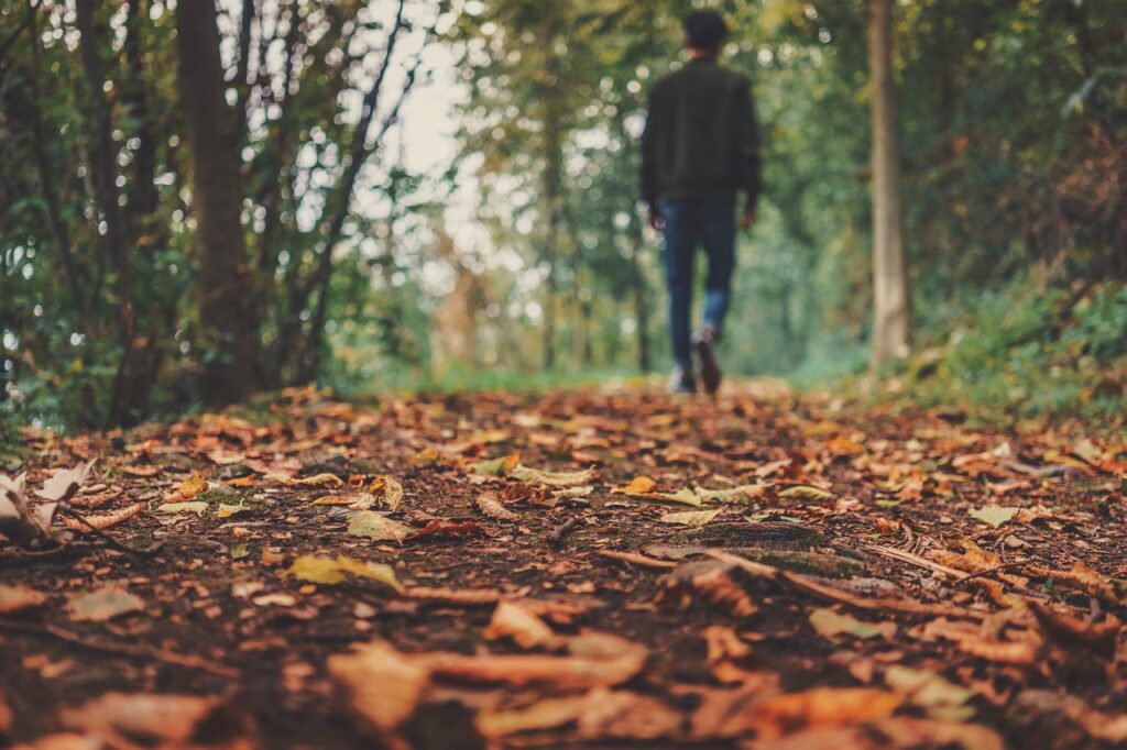 autumn, leaves, foliage, autumn leaves, autumn foliage, autumn colors, autumn season, fall foliage, fall leaves, fall colors, forest, nature, fallen leaves, fall, ground, man, outdoors, person, brown leaves, ground, ground, ground, ground, ground
