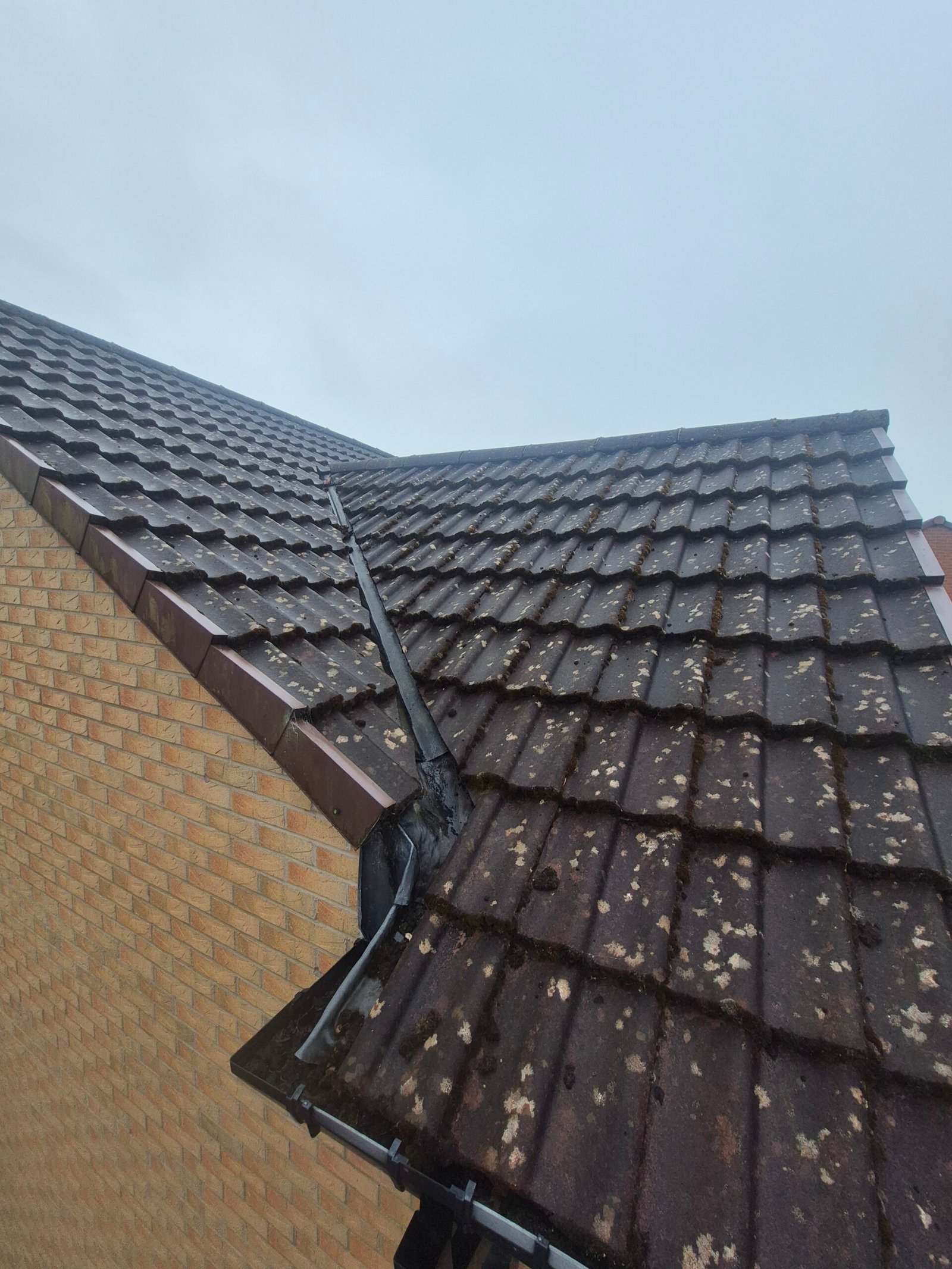 professional roof cleaning roof cleaning before and after moss and algae removal